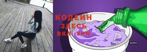 крисы Богородицк