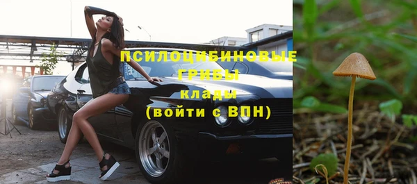 амфетамин Богданович