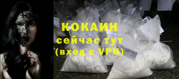 крисы Богородицк