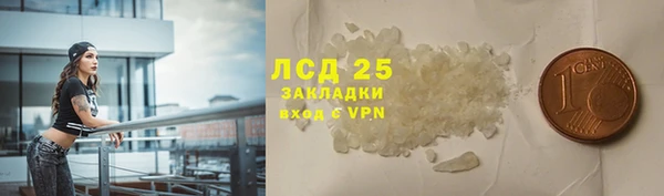 крисы Богородицк