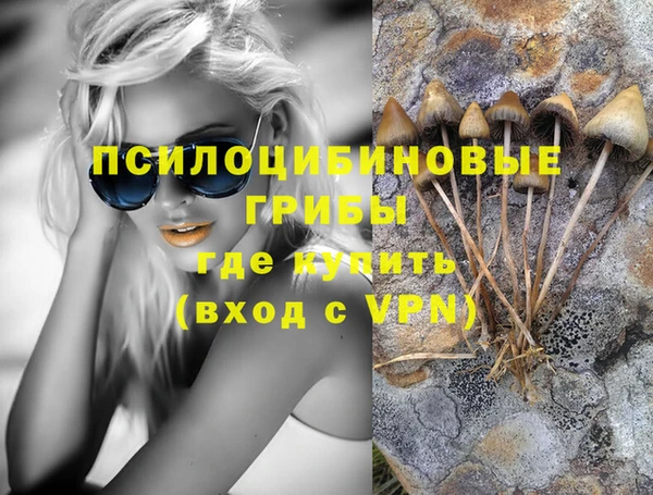 крисы Богородицк