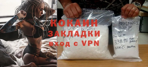 крисы Богородицк