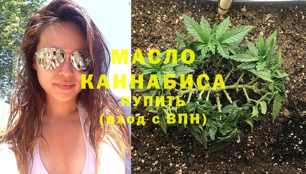 крисы Богородицк