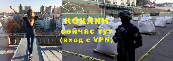 крисы Богородицк