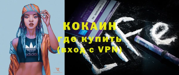 крисы Богородицк