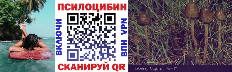 Галлюциногенные грибы GOLDEN TEACHER  OMG как зайти  Краснозаводск 